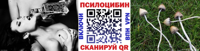 MEGA вход  купить наркотики цена  Могоча  Галлюциногенные грибы Psilocybine cubensis 