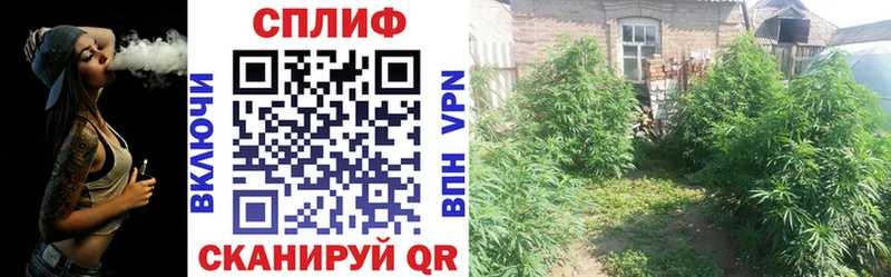 Марихуана White Widow  сайты даркнета официальный сайт  Могоча  kraken ТОР 